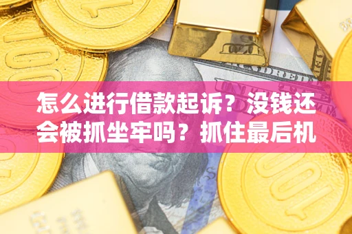 北京怎么进行借款起诉？没钱还会被抓坐牢吗？抓住最后机会！