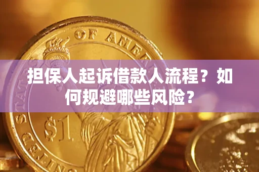 北京担保人起诉借款人流程？如何规避哪些风险？