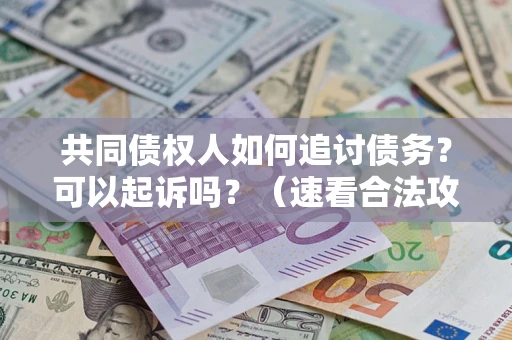 北京共同债权人如何追讨债务？可以起诉吗？（速看合法攻略）