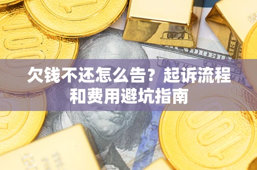 北京欠钱不还怎么告？起诉流程和费用避坑指南