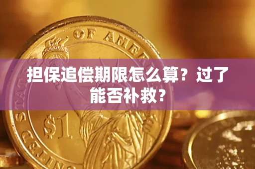 北京担保追偿期限怎么算？过了能否补救？